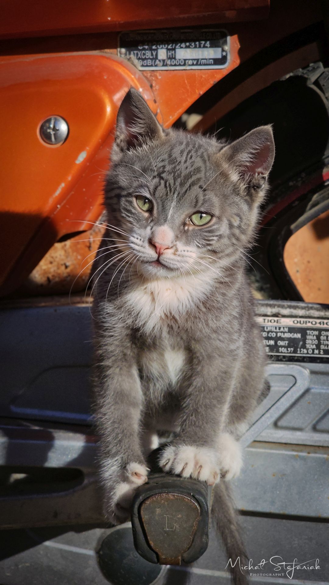 20250213 094909 ai 72